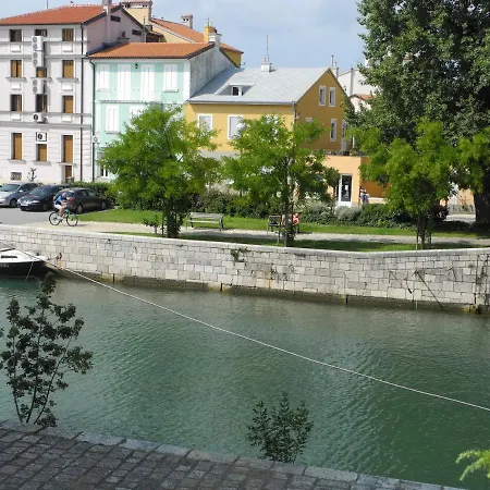 Biro In Center, 50 M From The Daire