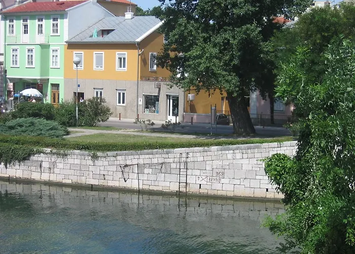 Biro In Center, 50 M From The Daire